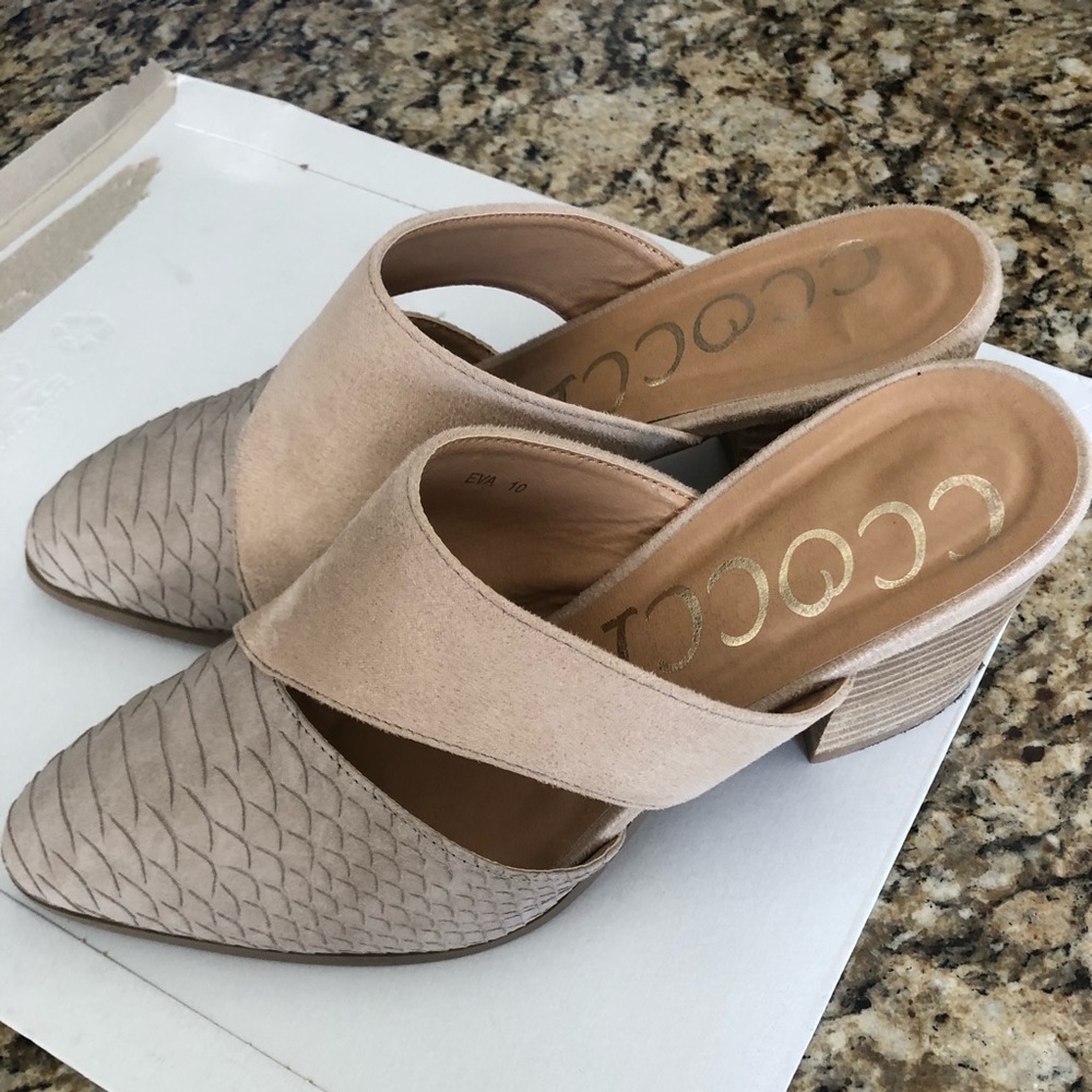 Ccocci mules